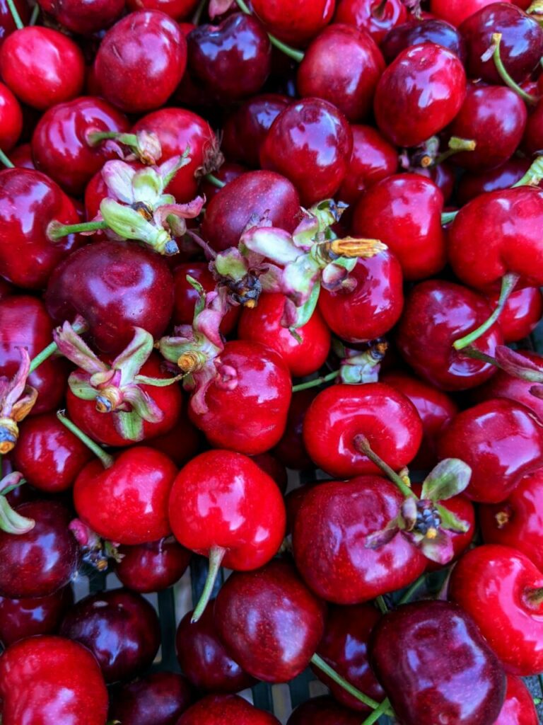 Cherry fruits