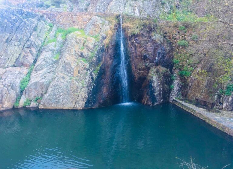 Natural swimming pond